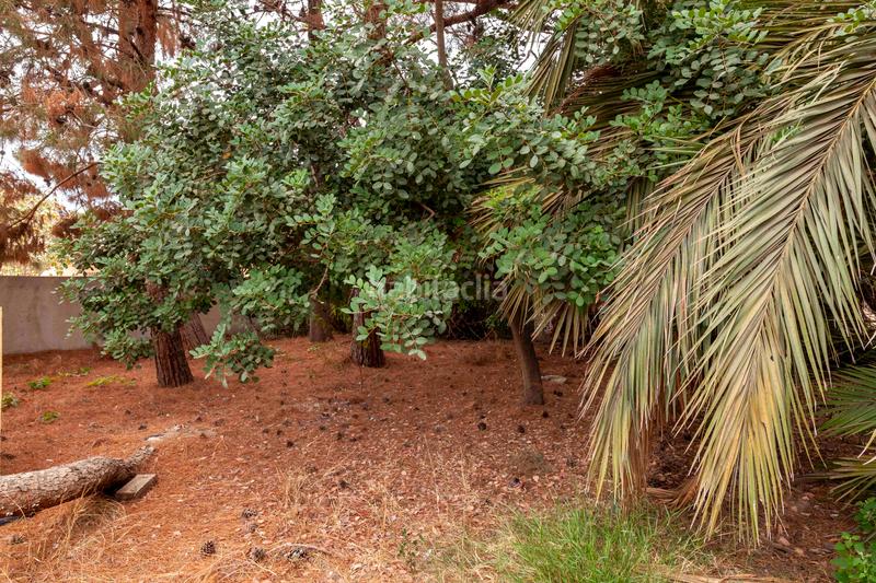 Foto d41855c1-96fb-453a-8aee-d70771c6c43d. Chalet in camino de josé miñarro 11 in Cazalla Lorca