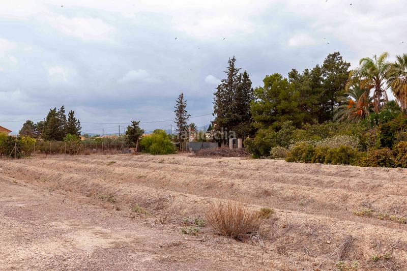 Foto e38b845e-2f46-4347-a329-225ef6c91851. Chalet in camino de josé miñarro 11 in Cazalla Lorca