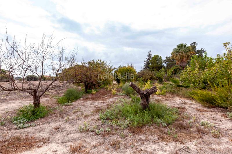 Foto f2fa84a8-0a7b-4bdf-9a71-9c2fff427d1f. Chalet in camino de josé miñarro 11 in Cazalla Lorca