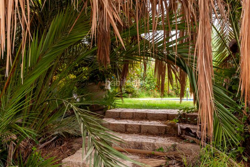 Foto f9f8b248-ecdf-4a04-a25e-09b65bbd6e73. Chalet in camino de josé miñarro 11 in Cazalla Lorca