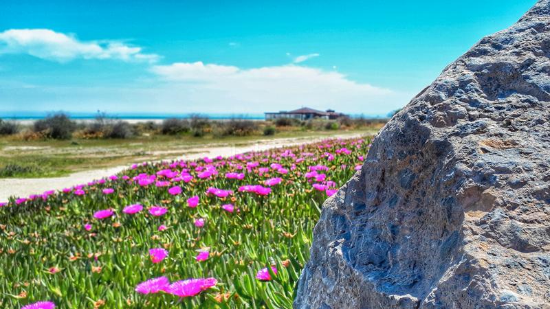 Foto 01d8dc55-9629-4579-99b8-b25c0a18c1a5. Ground floor with parking pool in El Playazo Vera