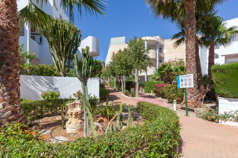Foto c4e3b95e-2a9c-41e3-b6fd-237e6bc1e3c4. Apartament amb piscina a Puerto Rey Vera