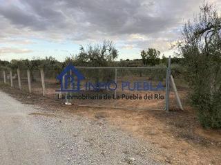 Terreny residencial a Hinojos. Parc. rúst. en venta en hinojos.