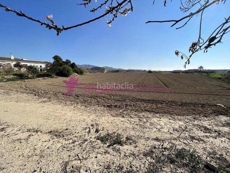 Foto 11fa3aa4-7c37-4d2f-8bd3-e6277abc1c9d. Masía en barrio burjulu 133m en Burjulu - La Mulería Cuevas del Almanzora