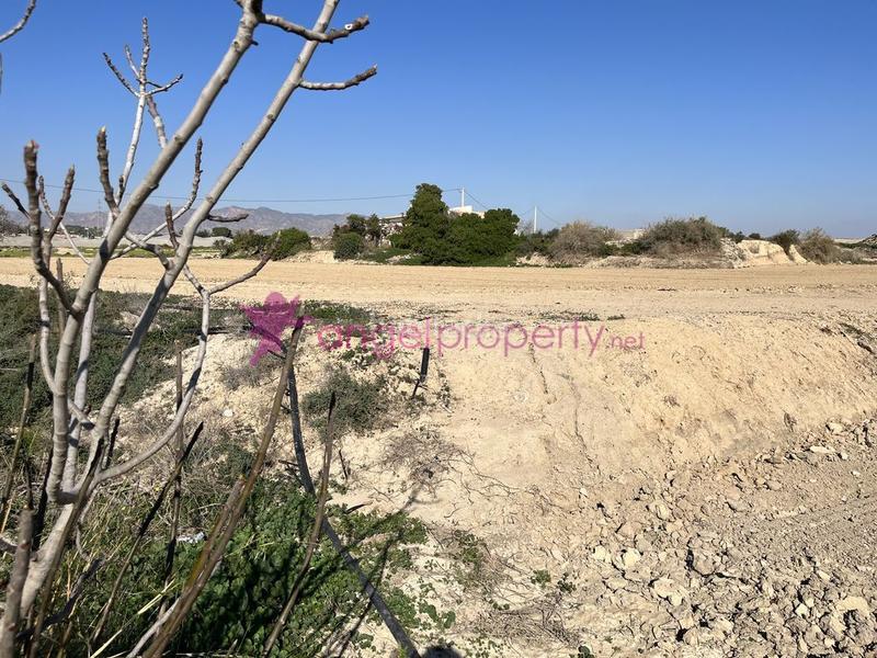 Foto 56d0aefc-ab1b-4a8f-81f9-511fe30bdc57. Masía en barrio burjulu 133m en Burjulu - La Mulería Cuevas del Almanzora