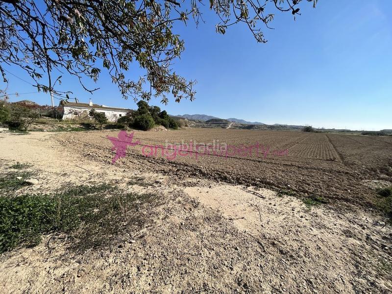 Foto 86a5c885-d3f0-4c7f-8110-8e342da07610. Masía en barrio burjulu 133m en Burjulu - La Mulería Cuevas del Almanzora