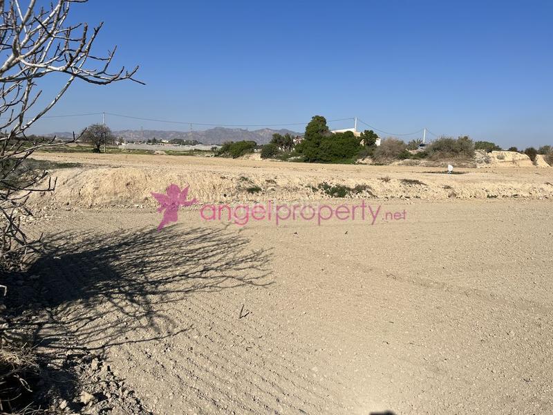 Foto ae8035d5-13c5-4b54-86ef-f65cf9691a3f. Masía en barrio burjulu 133m en Burjulu - La Mulería Cuevas del Almanzora