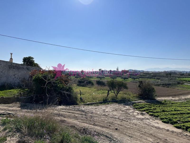 Foto c4626394-78e3-4f68-9d93-ec966e7adbbf. Masía en barrio burjulu 133m en Burjulu - La Mulería Cuevas del Almanzora