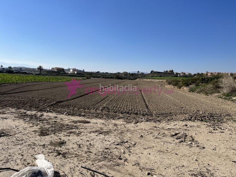 Foto c476abd8-8d93-499d-8538-2ad10b9b10ff. Masía en barrio burjulu 133m en Burjulu - La Mulería Cuevas del Almanzora