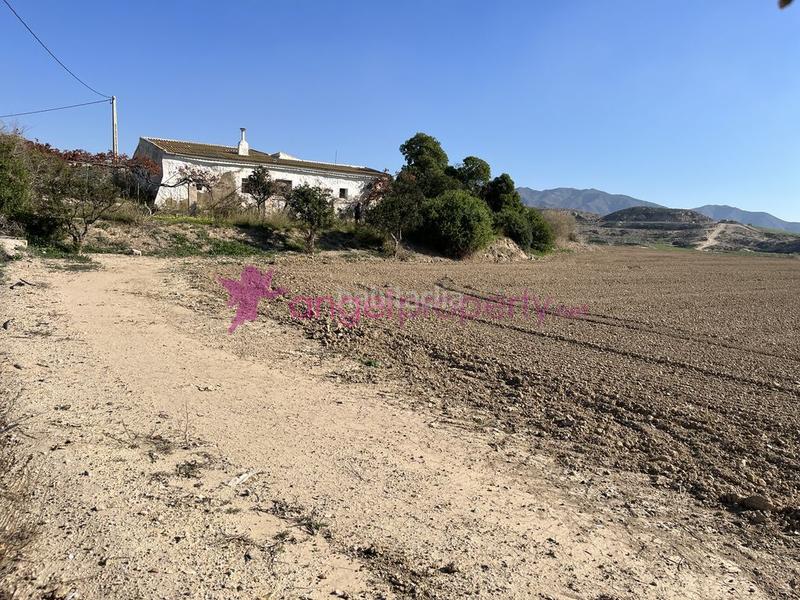 Foto d55789cb-684e-41a2-ab42-5bba5fec9616. Masía en barrio burjulu 133m en Burjulu - La Mulería Cuevas del Almanzora