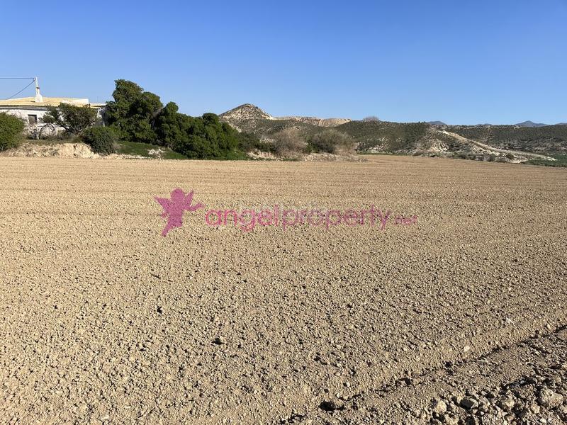 Foto fe24ece9-d6fc-4935-916f-0e213b2813c0. Masía en barrio burjulu 133m en Burjulu - La Mulería Cuevas del Almanzora