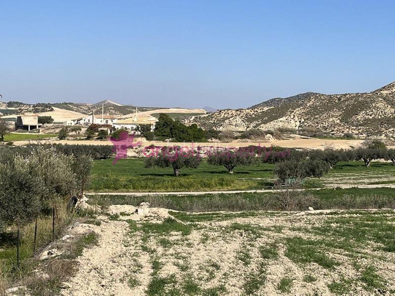 Foto 28efc36a-c9bb-42ed-8341-60e849913763. Casa en Burjulu - La Mulería Cuevas del Almanzora