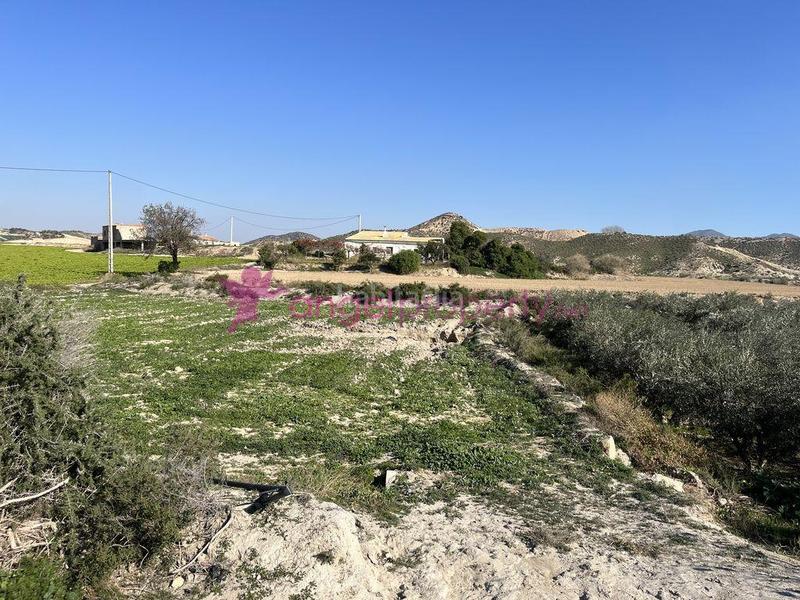 Foto 661cca22-6fbc-4898-ae21-c920744ace66. Casa en Burjulu - La Mulería Cuevas del Almanzora