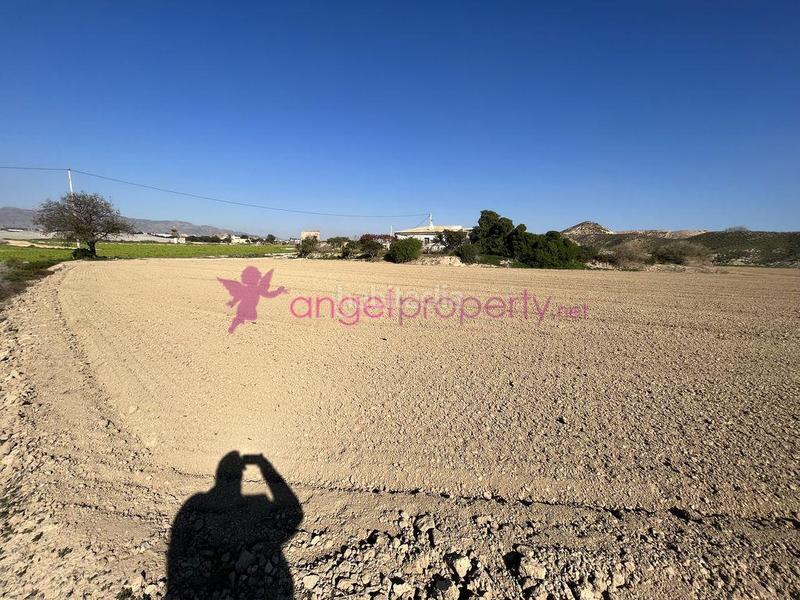 Foto 802b1160-1fc4-4c4b-81d7-7321493a390f. Casa en Burjulu - La Mulería Cuevas del Almanzora