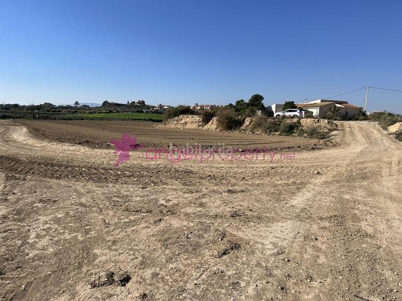 Foto 85ca6e17-8672-428d-969a-ba65e361aba7. Casa en Burjulu - La Mulería Cuevas del Almanzora