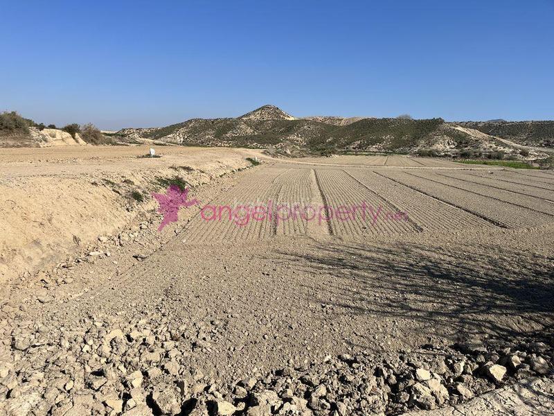 Foto 7659919d-35cc-46b9-a63c-363c2b30efa1. House in Burjulu - La Mulería Cuevas del Almanzora