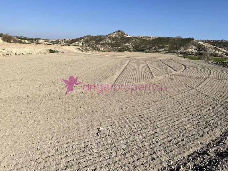 Foto 77f8365c-69a0-4f70-ac19-d44427a23023. Maison dans Burjulu - La Mulería Cuevas del Almanzora