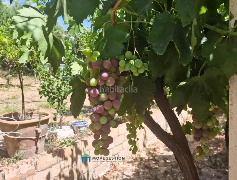 Foto a8437eff-e651-4d70-b3f6-da3522e79b45. Casa en Ubrique