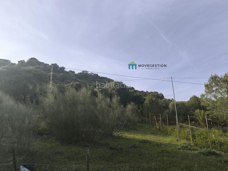 Foto ded1ba20-202b-4710-b4de-d978c74832b6. Finca rústica a Centro Ubrique