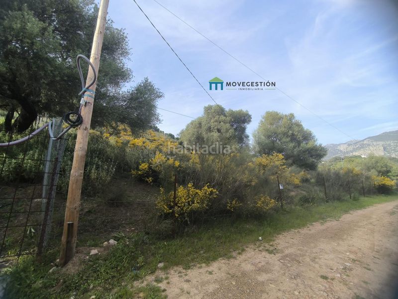 Foto 29cbe011-7e81-4fa6-9346-d13864721962. Finca rústica en Centro Ubrique