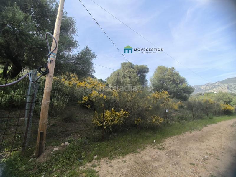 Foto 29cbe011-7e81-4fa6-9346-d13864721962. Finca rústica en Ubrique