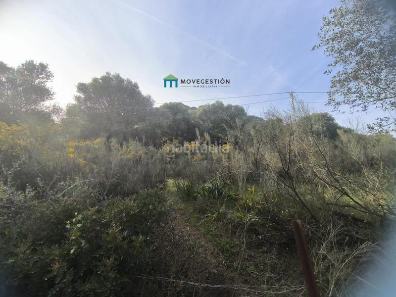 Foto af7dcb3f-65a0-4d1f-948b-af9ae9ab5d49. Finca rústica en Ubrique