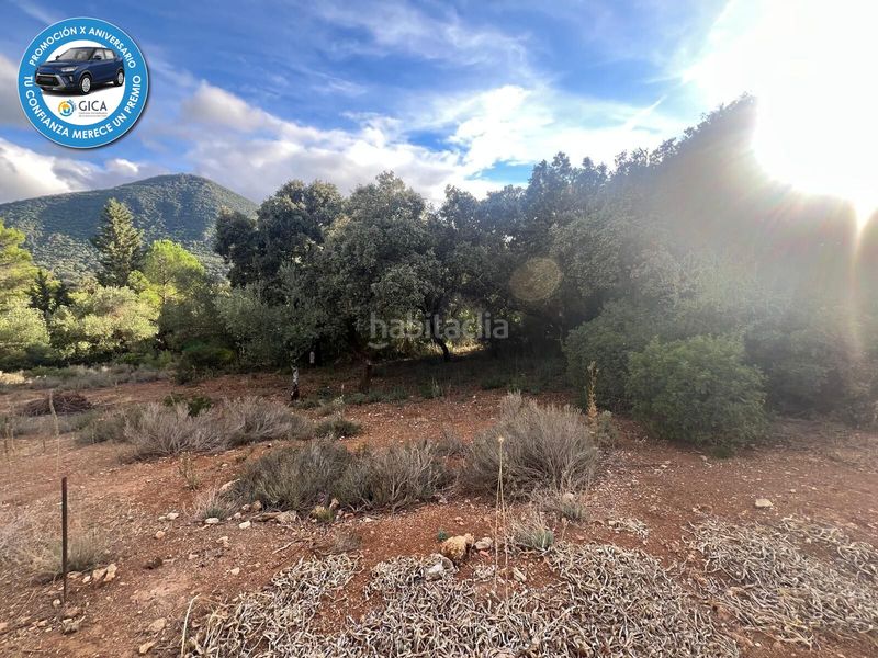 Foto 2a884e32-5385-4c4d-99a3-849cfdf16c2b. Finca rústica terreno rural en el bosque en Bosque (El)