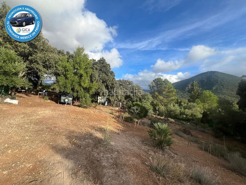 Foto 76150467-814a-40cb-aec9-9d6948ee60bd. Finca rústica terreno rural en el bosque en Bosque (El)