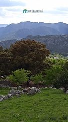 Finca rústica a Benaocaz. Terreno rústico en benaocaz