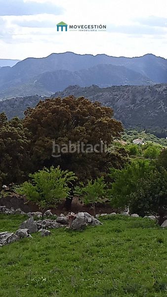 Foto 2695b5a7-b5fd-4949-9769-9ce3fc11acdc. Finca rústica a Benaocaz