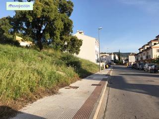 Terreny residencial a Ubrique. Venta de parcelas zona la vega  ubrique