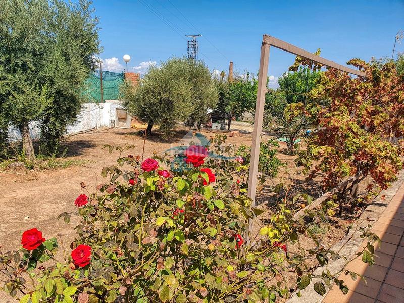 Foto 19494de0-f419-4ade-95b4-15c29362c599. Chalet mit pool in San Roque - La Cruz - La Rozuela Linares