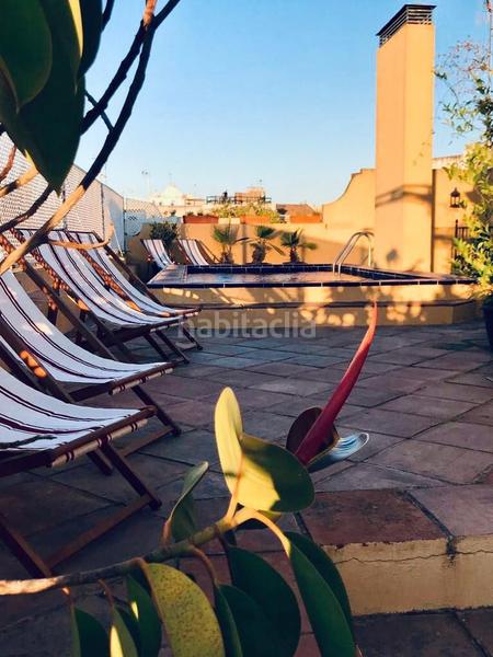 Foto 7f60d000-5a36-40a7-90af-e9460432fcdd. Rent loft with heating pool in Encarnación - Regina Sevilla