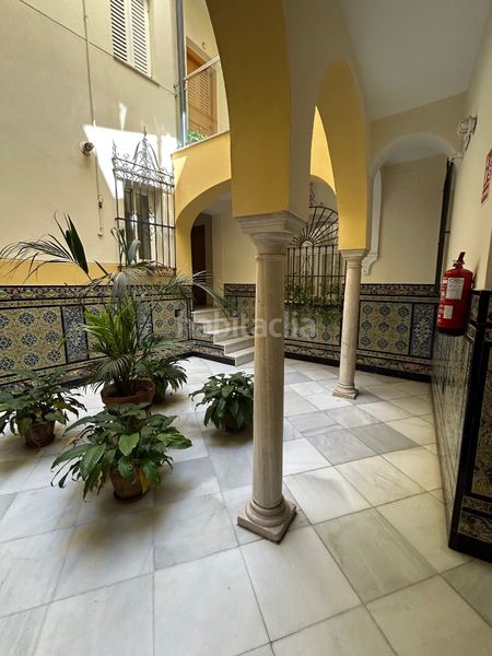 Foto 4956bb8c-190f-4464-aca7-a8ea33e816db. Pis amb calefacció a Arenal - Museo Sevilla