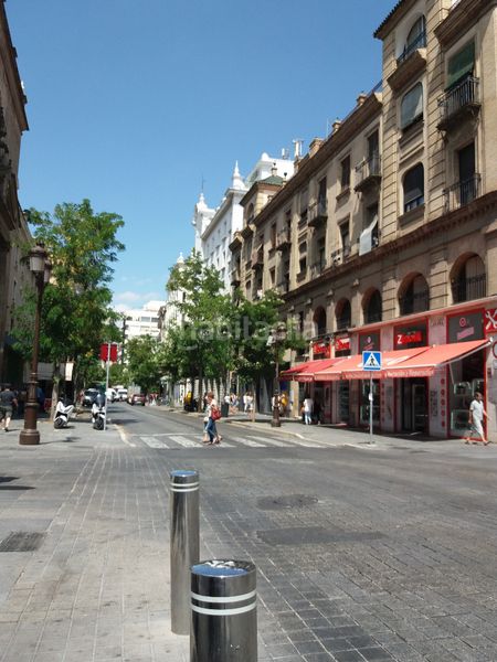 Foto 73264f47-f73f-4386-95e0-0777cb7958cb. Lloguer pis amb calefacció a Encarnación - Regina Sevilla