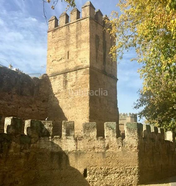 Foto 71d6dd49-339e-49f3-b5b8-59d42419efa6. Lloguer pis amb calefacció a San Gil Sevilla