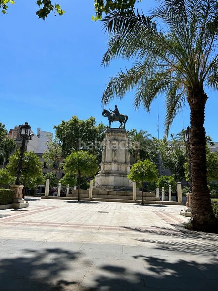 Foto 2b7e1e1b-d531-463e-aea8-ee161d8e545b. Aparcament cotxe a Arenal - Museo Sevilla