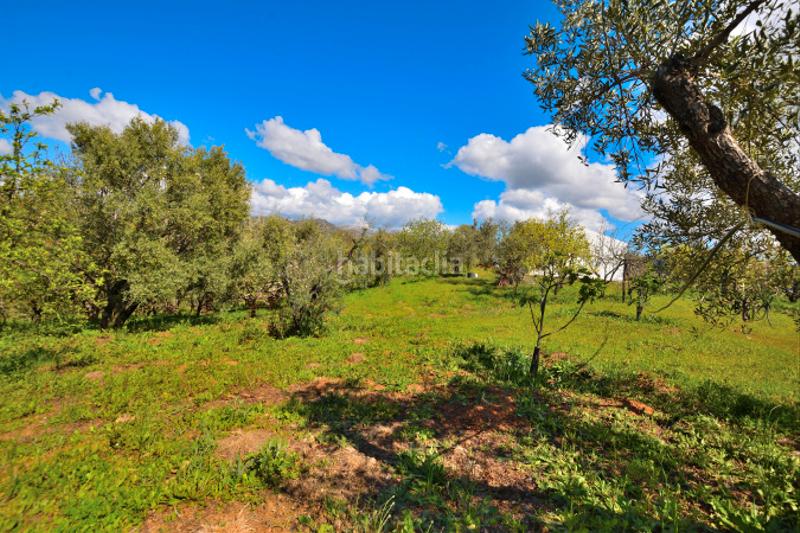 Foto 3040a191-ed79-47c6-9e70-d67f24dddd46. Casale con camino in San Cristóbal Ronda