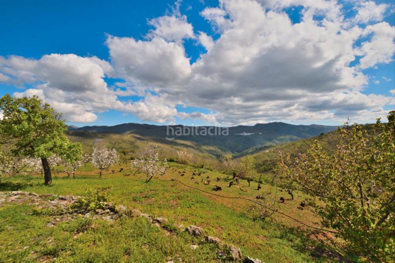 Foto 642fc2d2-5fd0-416d-a525-957ce85f0bee. Casale con camino in San Cristóbal Ronda