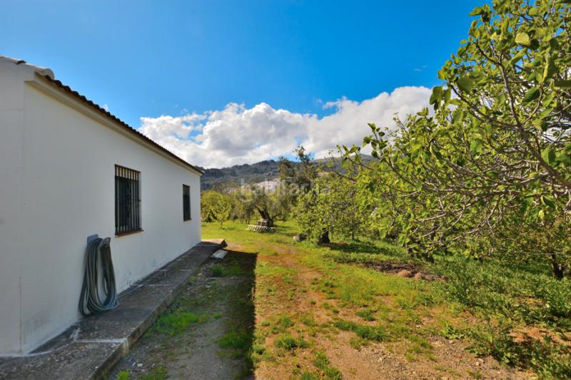 Foto 77b61acb-b022-4728-9243-a16e5417cba5. Casale con camino in San Cristóbal Ronda