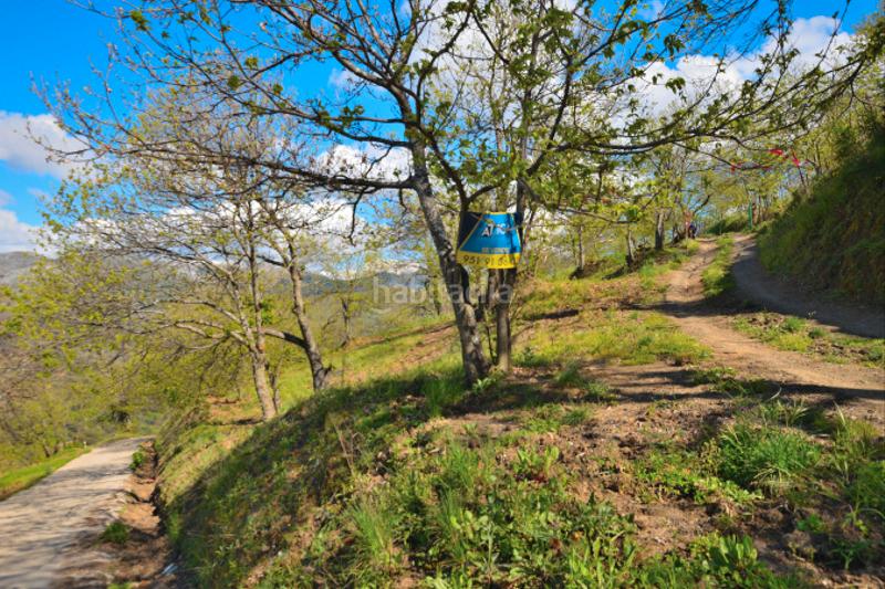 Foto 78ea520c-e834-4edc-916e-38f7b9b63718. Casale con camino in San Cristóbal Ronda