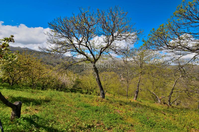 Foto a11dc53c-bb66-446a-a509-af92b187de18. Casale con camino in San Cristóbal Ronda