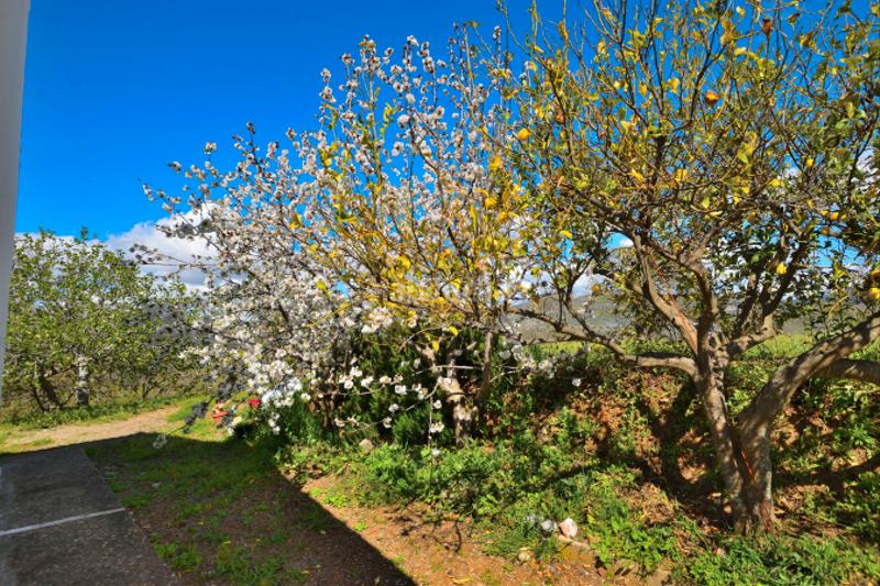 Foto b5d29737-843d-4f32-a2c0-ceb4c3ef05f8. Casale con camino in San Cristóbal Ronda