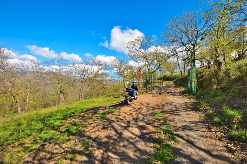 Foto d3671578-7292-4162-a669-84c45468ae46. Casale con camino in San Cristóbal Ronda