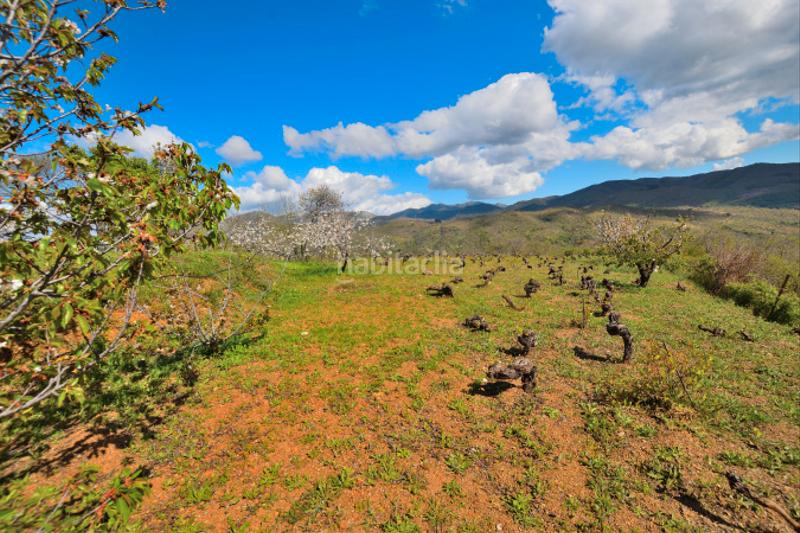 Foto df690562-b922-4375-b89a-740019e9f962. Casale con camino in San Cristóbal Ronda