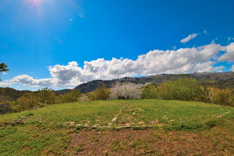 Foto f1390a43-7aeb-4154-87e2-174382ead3f0. Casale con camino in San Cristóbal Ronda