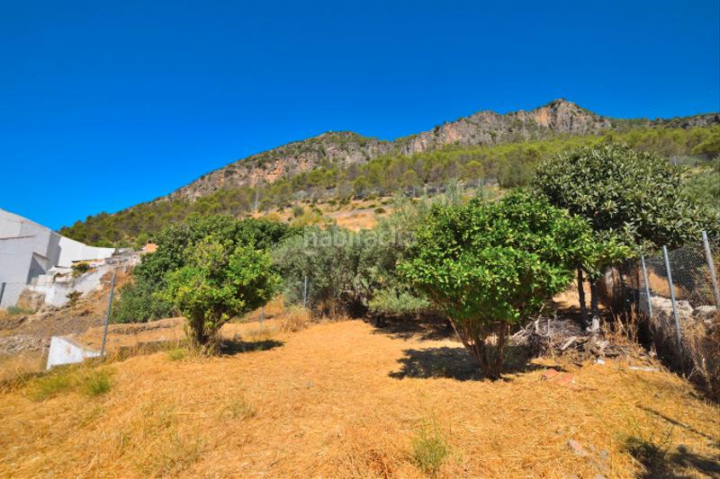 Foto d10252e1-a313-4569-b33e-f535b4af53c1. Casa adosada **casa / chalet adosado en venta - un refugio con encanto** en Algodonales