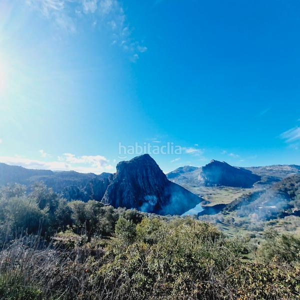 Foto 0d0fa20c-7275-4be1-a3ae-4b97c94ad7ea. Masia amb calefacció aparcament piscina a Partidas Norte Ronda