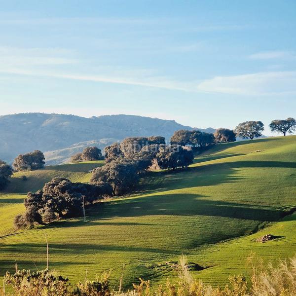 Foto 54928fc4-36de-4462-87aa-5aa30f8805bb. Masia amb calefacció aparcament piscina a Partidas Norte Ronda