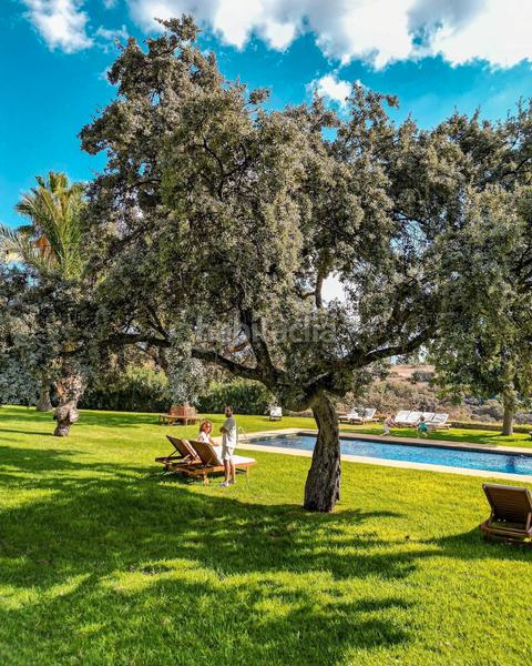 Foto 704689e5-c2f6-4a3f-af2d-cff09f39a96a. Masia amb calefacció aparcament piscina a Partidas Norte Ronda